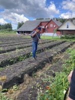 Peipsijärven sipulitiellä ja sipulitilalla