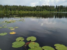 Tyynellä Roslivon joella.