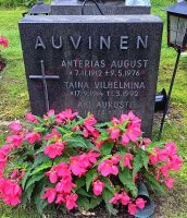 Auvinen Taina 