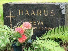 Haarus Eeva