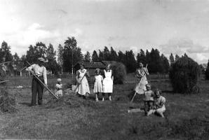 Vahvelaisen heinäpellolla. Naiset vasemmalta Toini Vahvelainen, Saima Vahvelainen, Helvi Vahvelainen ja istumassa Vieno Vahvelainen. Mies ja lapset tuntemattomia. 