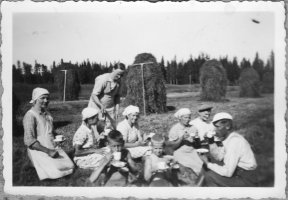 Etu-Helkalan talonväen evakkotie keväällä 1940 vei Yläneelle. Penttisen perhe auttamassa heinätöitä. Yläne 1940 (Veikko Ampuja)