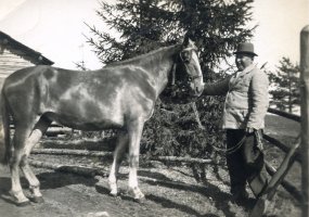 Juhana Heikinpoika Ampuja hevosensa kera evakkopaikkakunnallaan. Punkalaidun 1940 (Rauno Heiska)